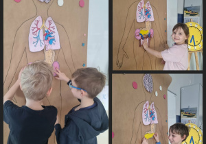 Uczniowie klasy 2c na zajęciach z edukacji przyrodniczej