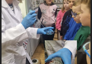 Zajęcia prowadzone przez pracowników naukowych
