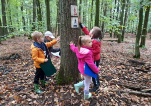 Zdjęcie przedstawia uczniów klasy 1a podczas zajęć na terenie Lasu Łagiewnickiego. Czworo dzieci dotyka kory drzewa, w drugiej ręce mają materiały do pisania.