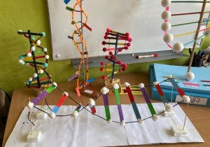 Modele kwasu DNA wykonane przez uczniow klas ósmych