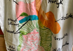 Koszulki przedstawiające modele różnych układów narządow człowieka wykonane przez uczniów z klas siodmych