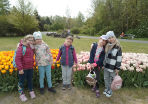 Zdjęcie przedstawia uczennice klasy I na tle kwitnących tulipanów.