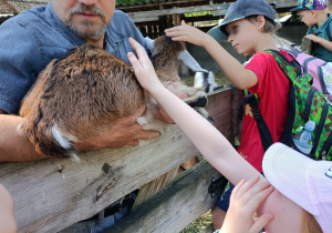 Gospodarz pokazuje dzieciom kozę.