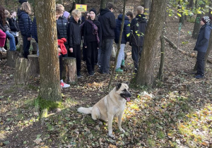 W wędrówce towarzyszył nam wiernie pies Misiek