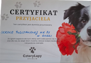 Zdjęcie 4 na 4