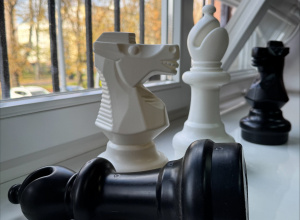 Drużynowe Mistrzostwa Łodzi Szkół Podstawowych w Szachach 2025/2026