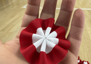 Kokarda narodowa na dłoni