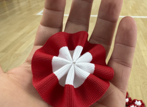 Z biało-czerwonym sercem dla Niepodległej!