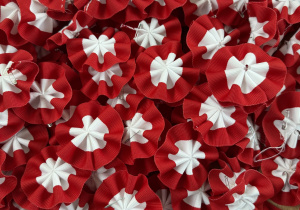 Kokardy narodowe - widok z bliska