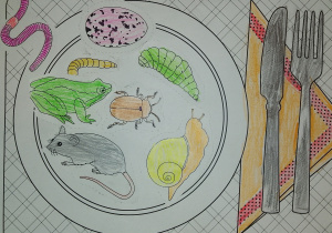 Jadłospis jeża - praca wykonana w parze