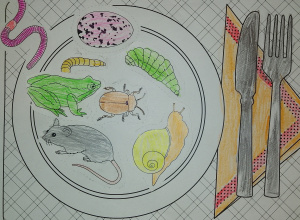 Zajęcia ekologiczne w 1a