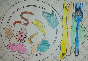 Jadłospis jeża - praca wykonana w parze