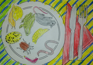 Jadłospis jeża - praca wykonana w parze