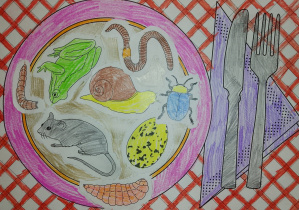 Jadłospis jeża - praca wykonana w parze